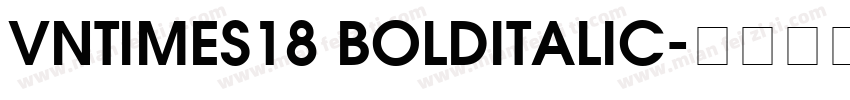VnTimes18 BoldItalic字体转换